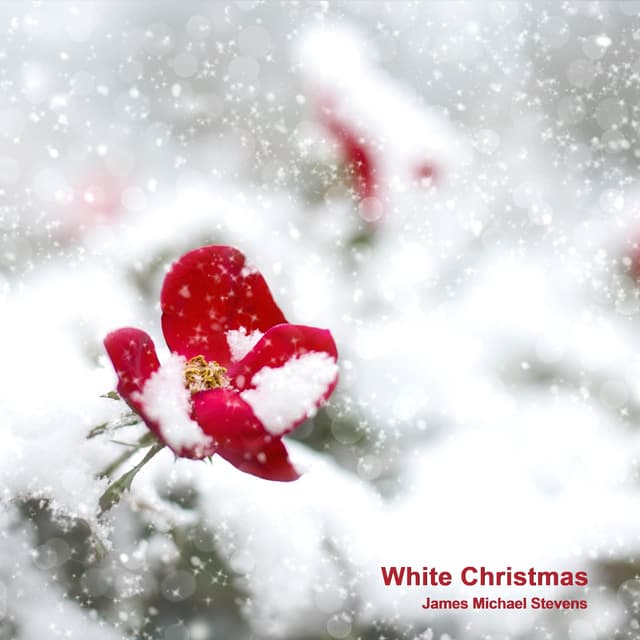 White Christmas (Solo Piano) - Single
