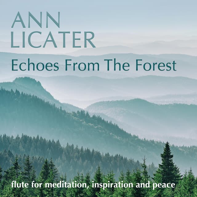 Echoes from the Forest