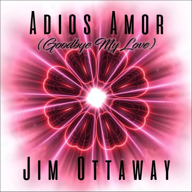 Adios Amor (Goodbye My Love) - Single