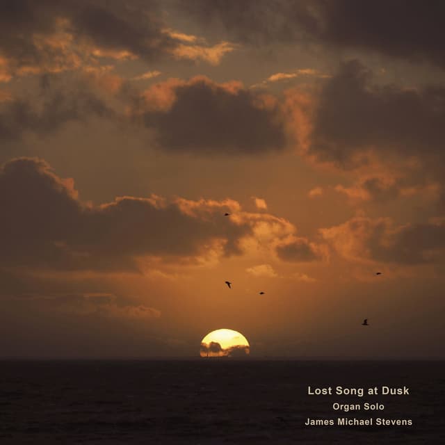 Lost Song at Dusk (Organ Solo) - Single
