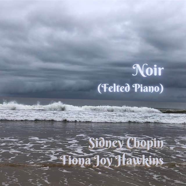 Noir (Felted Piano) - Single