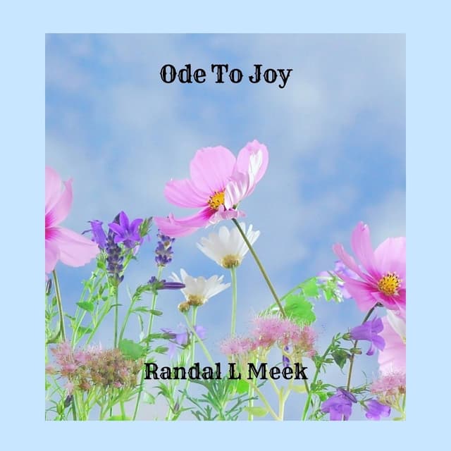 Symphony No. 9 in D Minor, Op. 125 "Ode to Joy" (Arr. for Guitar by Randal L Meek) - Single