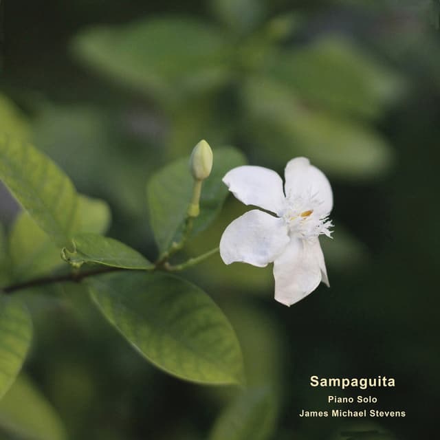 Sampaguita (Piano Solo) - Single