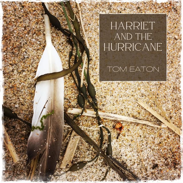 Harriet and the Hurricane (feat. Jill Haley) - Single