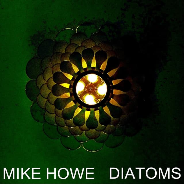 Diatoms - Single