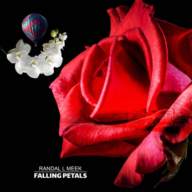 Falling Petals - Single