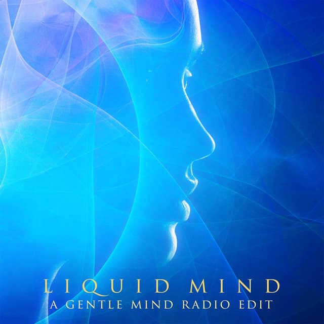 A Gentle Mind (Radio Edit) - Single
