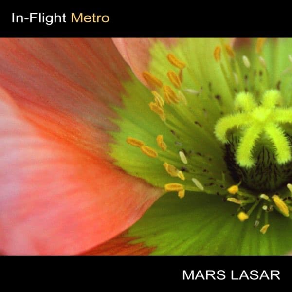 In-Flight Metro