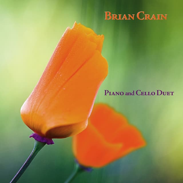 Piano and Cello Duet artwork