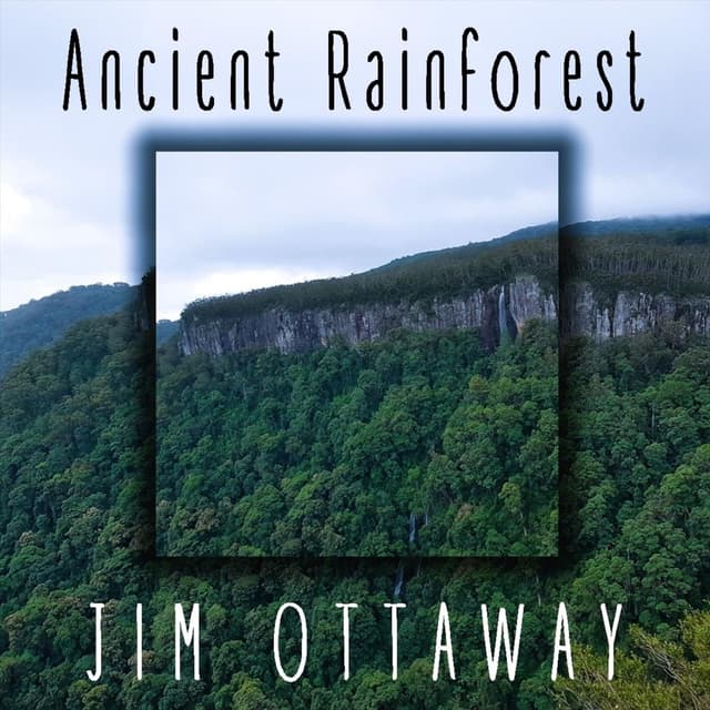 Ancient Rainforest - Single