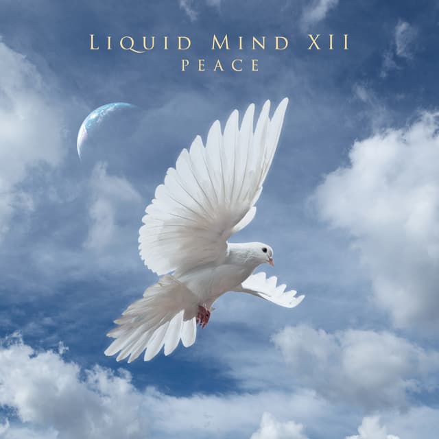 Shared Values (Radio Edit) - Single