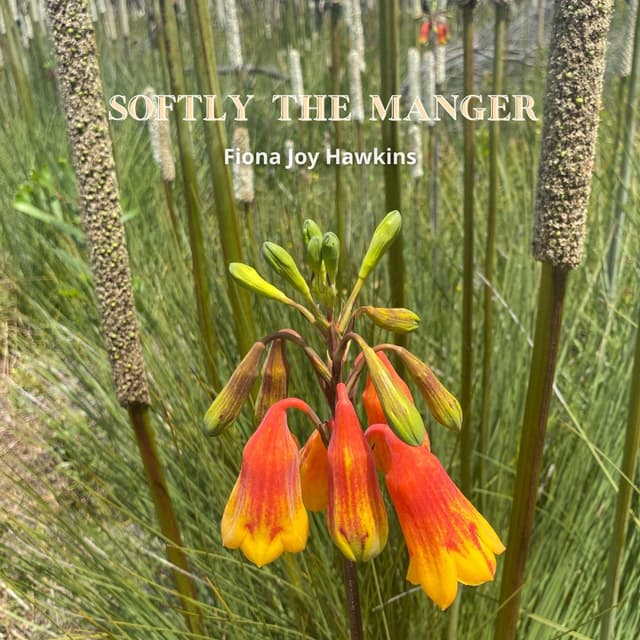 Softly the Manger - Single