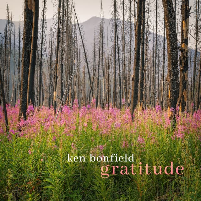 Gratitude artwork