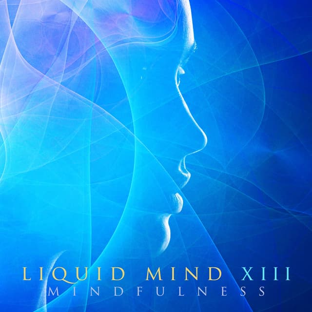 In the Arms of Love (Radio Edit) - Single