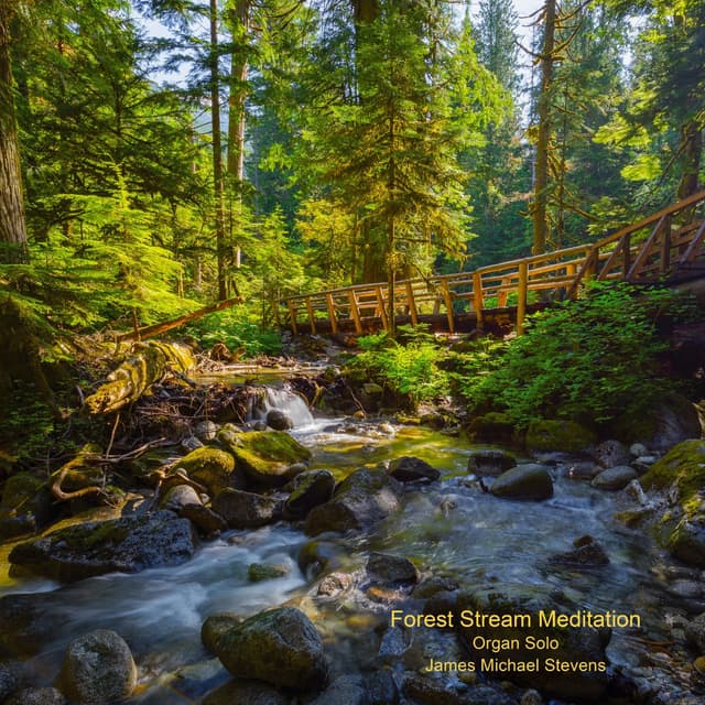 Forest Stream Meditation - Organ Solo - Single