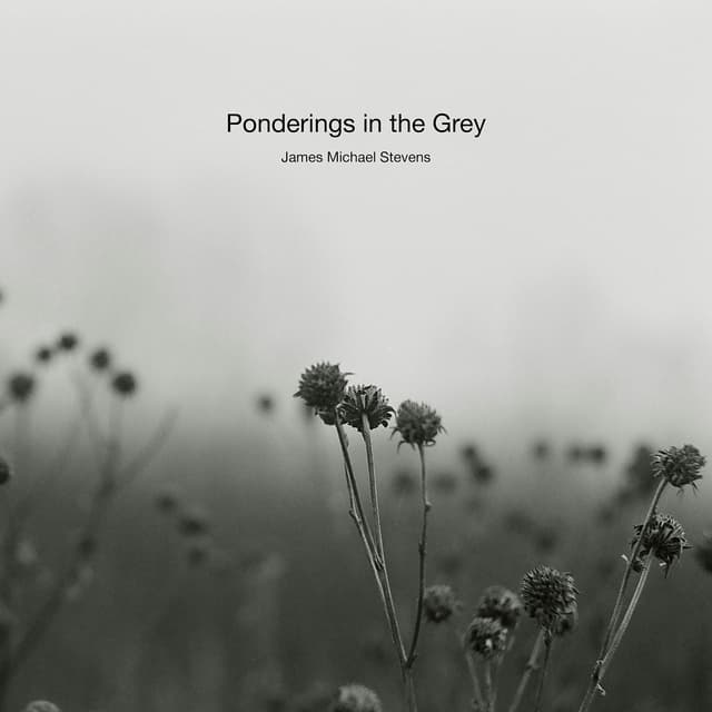 Ponderings in the Grey - Single