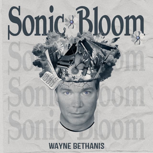 Sonic Bloom artwork