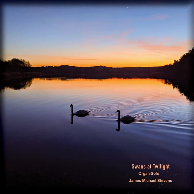 Swans at Twilight - Organ Solo - Single
