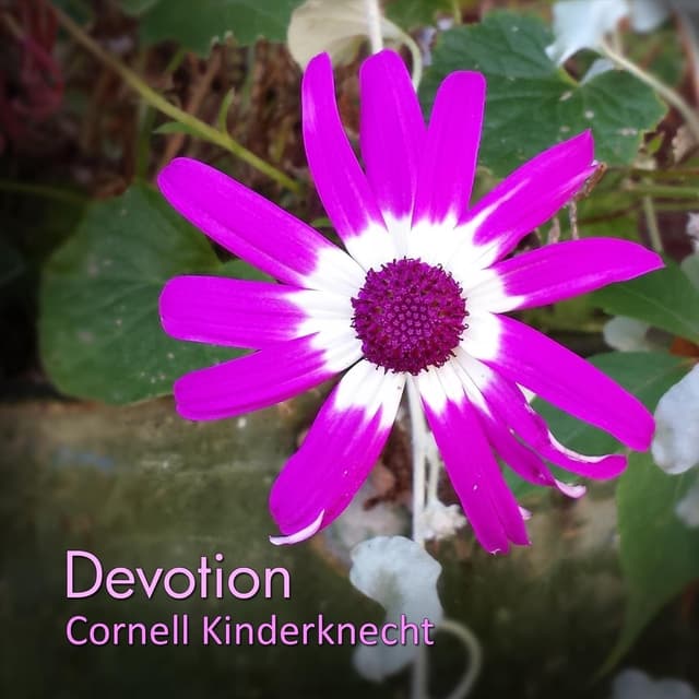 Devotion - Single