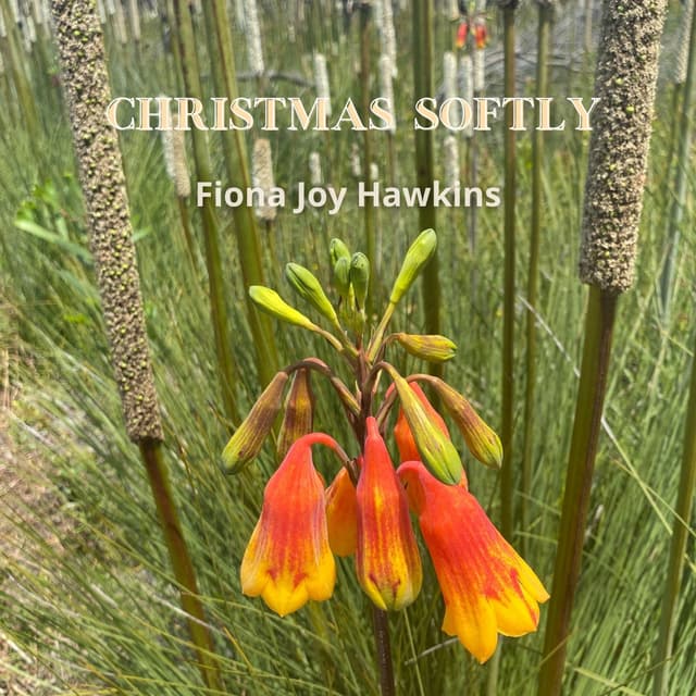Christmas Softly - EP
