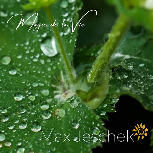 Magie De La Vie - Single