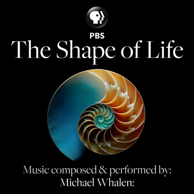 The Shape of Life