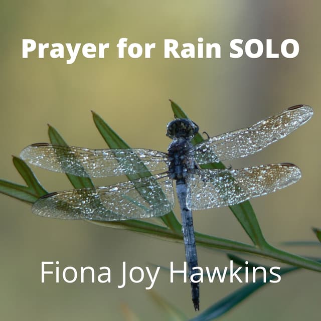 Prayer for Rain (Solo Version) - Single
