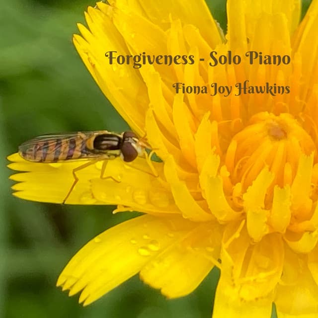 Forgiveness – Solo Piano - Single