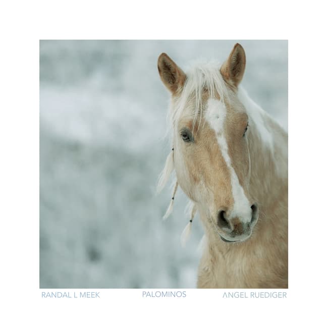 Palominos - Single