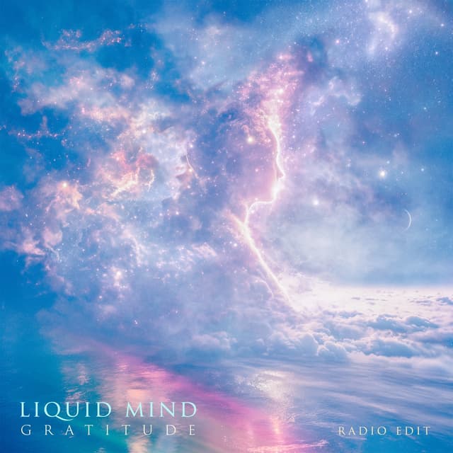 Gratitude (Radio Edit) - Single