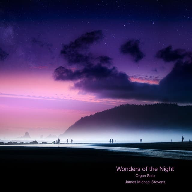 Wonders of the Night - Organ Solo - Single