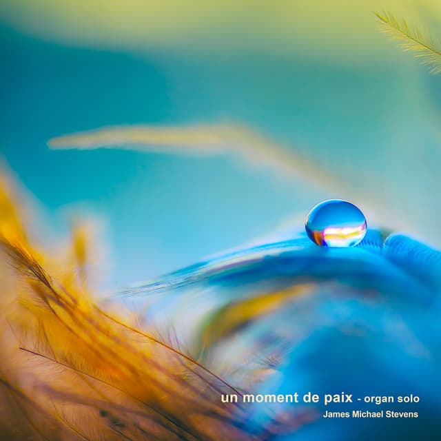 Un Moment De Paix (Organ Solo) - Single