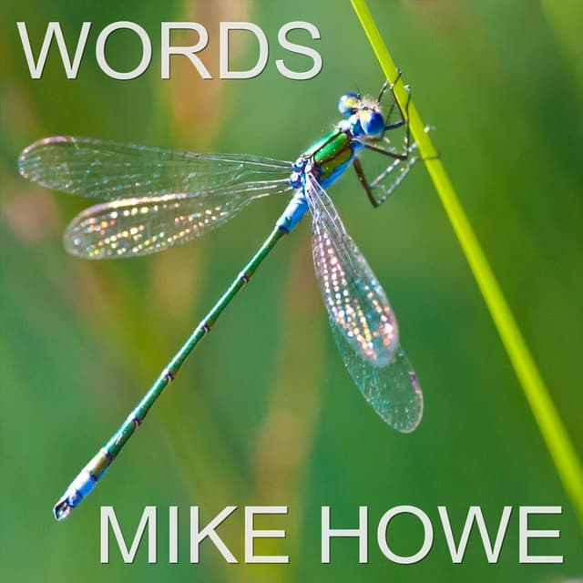 Words - Single