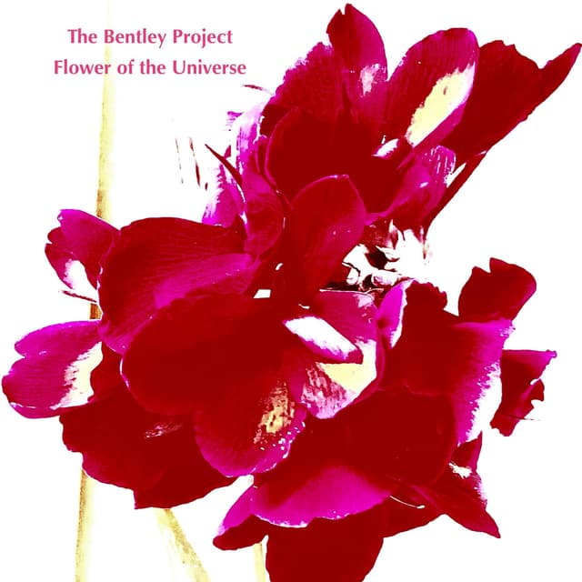 Flower of the Universe - Single