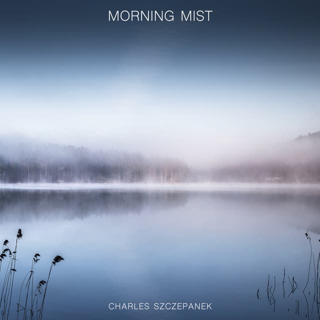 Morning Mist - Single