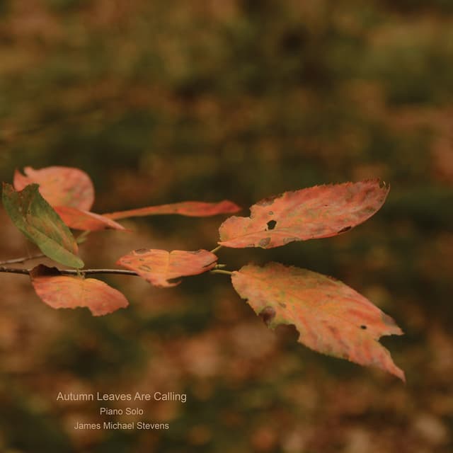 Autumn Leaves Are Calling (Piano Solo) - Single