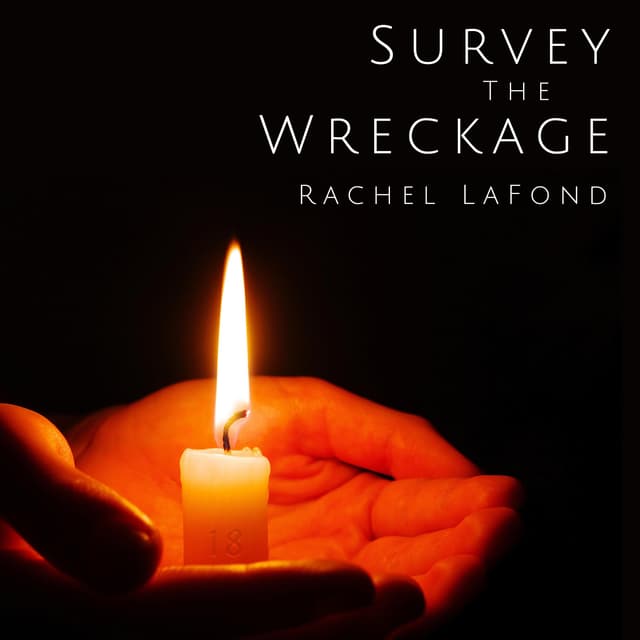 Survey the Wreckage - Single