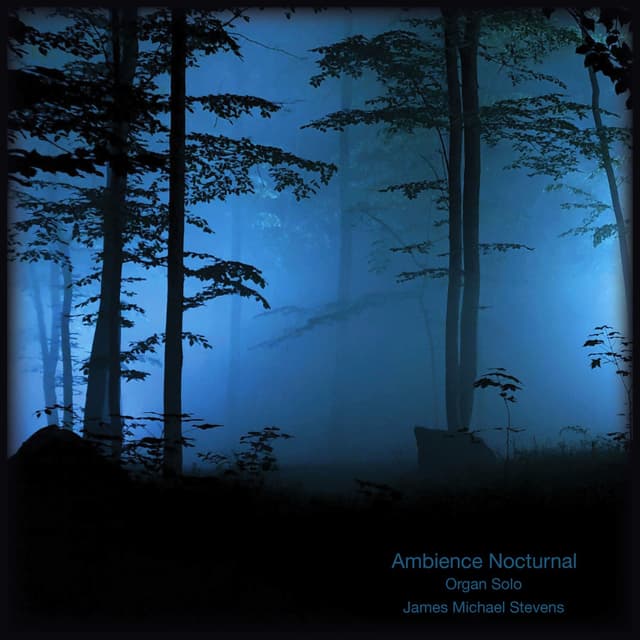 Ambience Nocturnal - Single