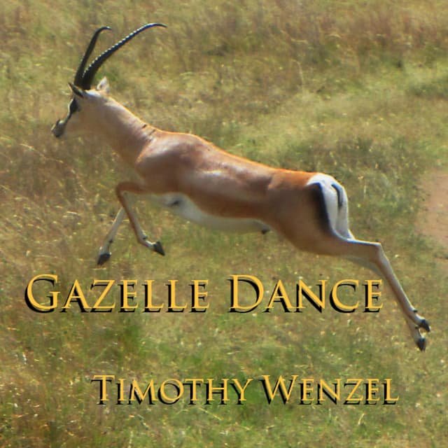 Gazelle Dance (feat. Jill Haley & Jeff Haynes) - Single