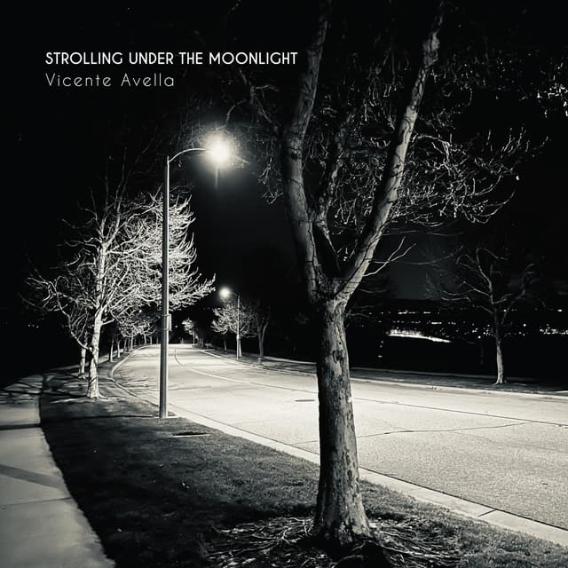 Strolling Under the Moonlight - Single