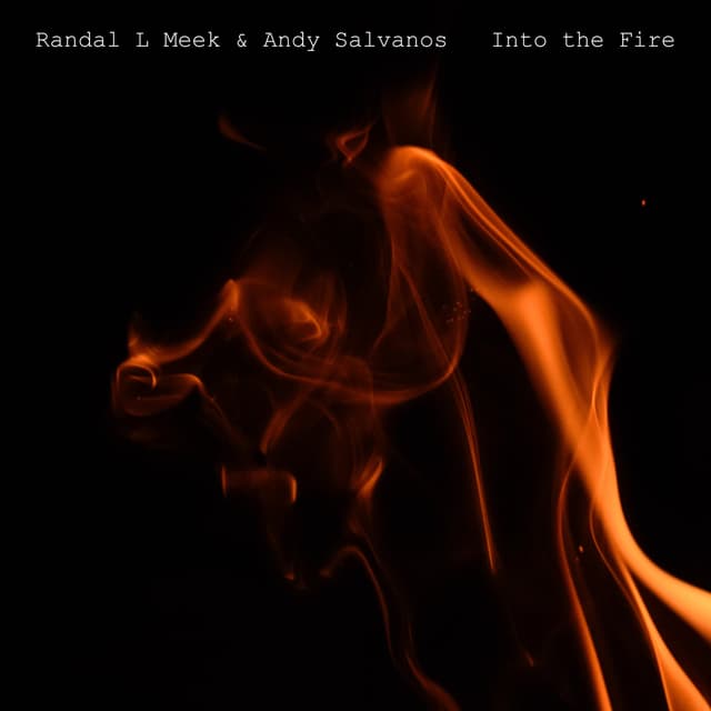 Into the Fire - Single
