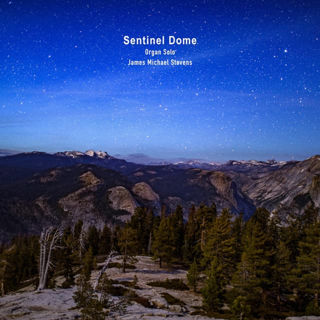 Sentinel Dome - Organ Solo - Single